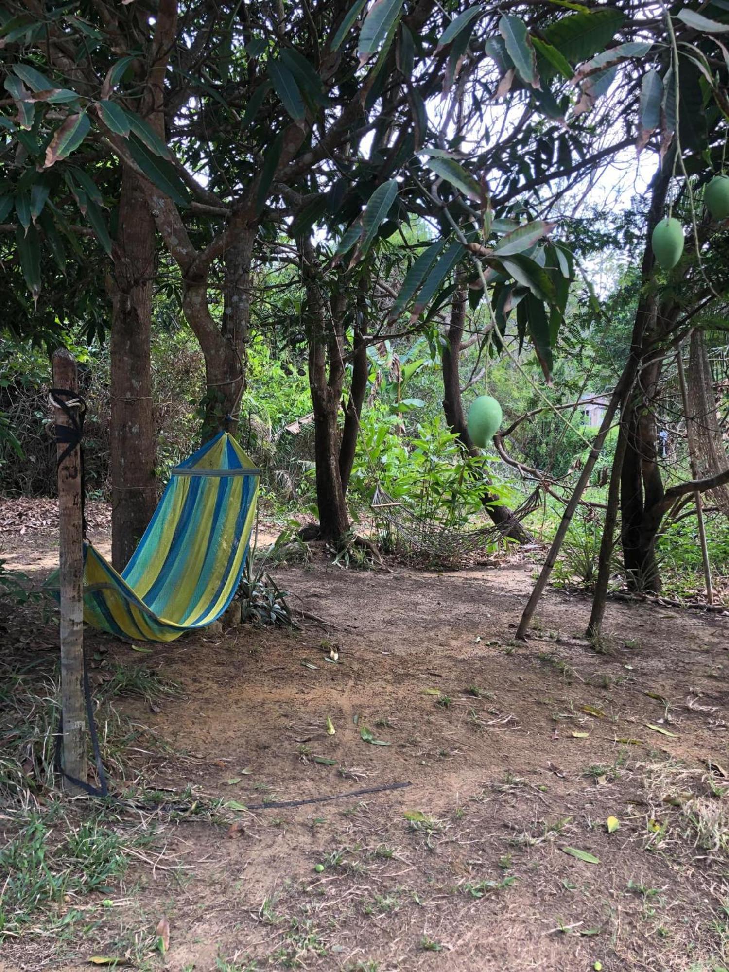 The Bonsai Hostel Đảo Koh Rong Samloem Ngoại thất bức ảnh